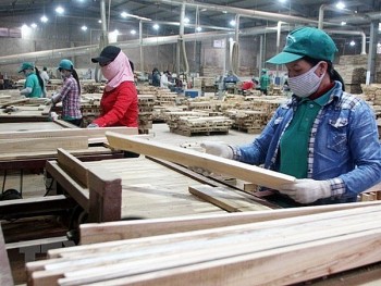 hoa ky gia han thoi gian nop ban binh luan voi tu go nhap tu viet nam