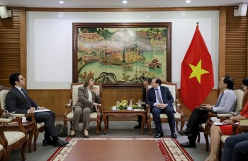 day manh hop tac van hoa the thao du lich huong toi ky niem 60 nam quan he ngoai giao viet nam ai cap