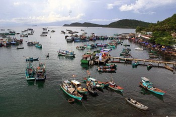 kien giang ngu dan chu dong ung pho voi mua mua bao