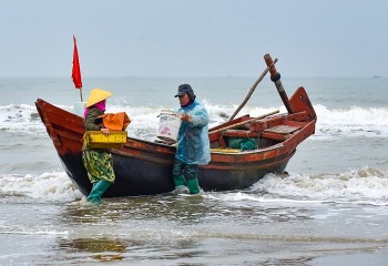 thanh hoa co ty le tau ca lap dat thiet bi giam sat hanh trinh cao cua ca nuoc