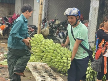 kho khan trong viec xuat khau chuoi sang trung quoc