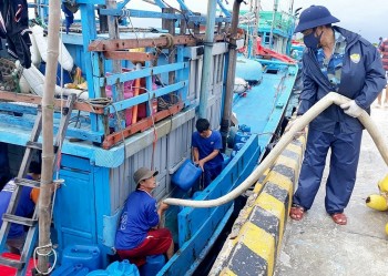 au tau diem tua vung chac cho ngu dan vuon khoi bam bien