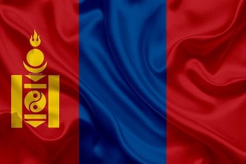 dien mung quoc khanh mong co