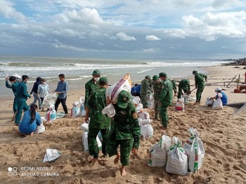 Bình Thuận: Hỗ trợ người dân khắc phụ sự cố biển xâm thực