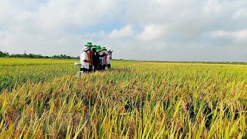 khuyen cao doanh nghiep ve du luong khi xuat khau sang eu