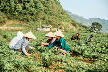 ho tro 22 huyen ngheo thoat khoi tinh trang ngheo dac biet kho khan