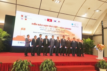 hop tac kinh te la diem sang trong buc tranh tong the quan he song phuong viet nam han quoc