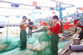 gia nhien lieu giam ngu dan van kho ra khoi vi khan hiem lao dong bien