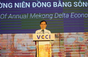 nhieu diem sang toi dan xen buc tranh kinh te dong bang song cuu long