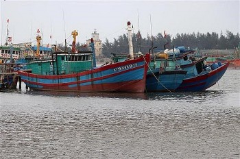 hai phong quyet liet thao go canh bao the vang cua uy ban chau au