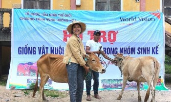 world vision viet nam ho tro sinh ke cho 236 ho gia dinh tai quang tri