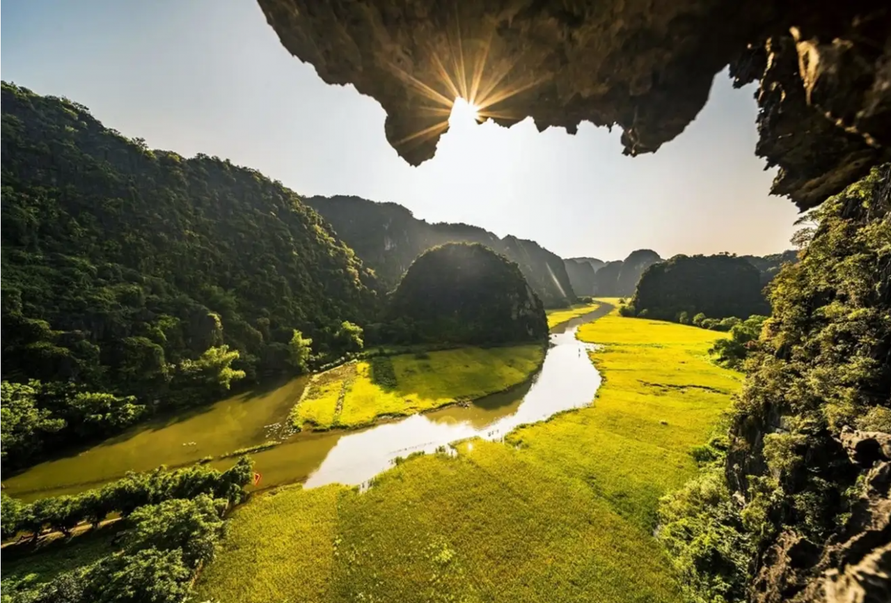 tam coc ninh binh mua lua chin