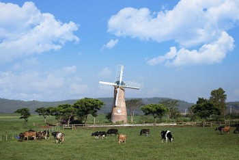cum trang trai bo sua vinamilk da lat duoc vinh danh tai giai thuong moi truong viet nam