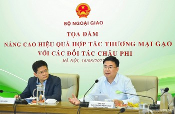 toa dam truc tuyen nang cao hieu qua hop tac thuong mai gao voi cac doi tac chau phi