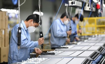 thuong vu viet nam tai y khuyen cao doanh nghiep canh giac voi nan lua dao