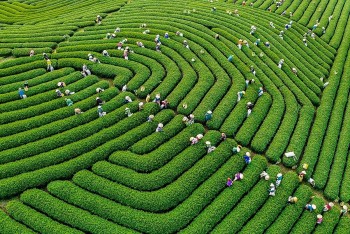 lao cai trung bay gan 200 buc anh nghe thuat tai trien lam trung du mien nui phia bac tiem nang va co hoi