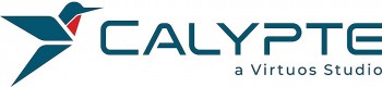 cong ty phat trien tro choi hang dau the gioi virtuos khai truong studio dong phat trien voi calypte o my