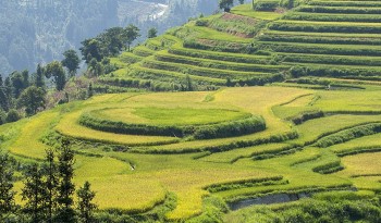 festival cao nguyen trang bac ha mua thu nam 2022