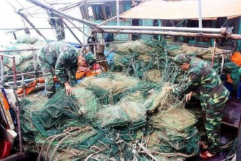 quang binh tang cuong nhieu giai phap quyet liet de bao ve nguon loi thuy san