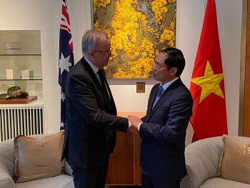 viet nam australia thuc day hop tac ve nang luong moi va ung pho bien doi khi hau