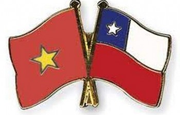 77 nam quoc khanh viet nam luon la doi tac tin cay cua chile