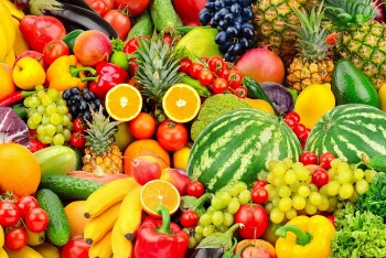 Việt Nam đang trên đường trở thành cường quốc kinh tế với hoạt động xuất khẩu trái cây phát triển