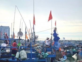 ngu dan mien trung hoi ha sua soan vuon khoi sau bao