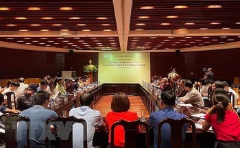 lap ho so trinh unesco ghi danh mo muong la di san can bao ve khan cap