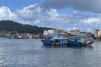 gia nhien lieu giam nhiet ngu dan thanh hoa ra khoi tro lai