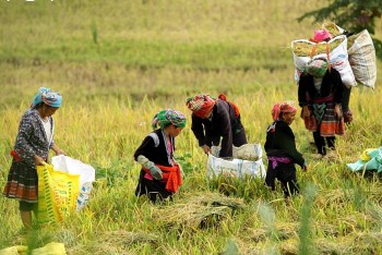 chinh phu viet nam uu tien tang truong kinh te gan voi cham lo cho nguoi ngheo