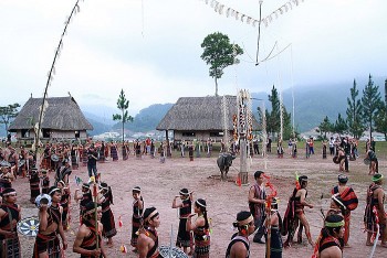 da nang xay dung chinh sach bao ton va phat huy van hoa dong bao dan toc co tu