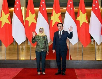 chu tich quoc hoi vuong dinh hue tiep tong thong cong hoa singapore halimah yacob