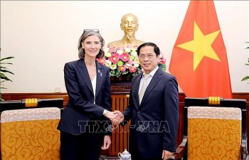 bo truong bo ngoai giao tiep dai dien thuong tru undp tai viet nam