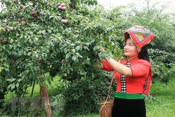 giam ngheo khong ho khau hieu huong toi su ben vung thiet thuc