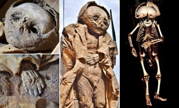 Giải mã bí ẩn xác ướp em bé được chôn cách đây 400 năm