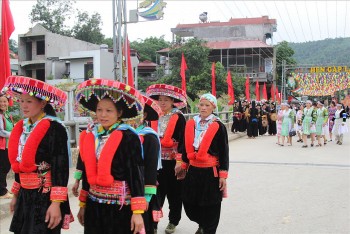 sac mau cho phien bao lac