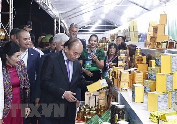 Chủ tịch nước Nguyễn Xuân Phúc: Nâng tầm giá trị cây sâm Việt Nam