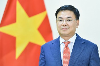 doi moi phuong thuc lanh dao cua dang doi voi cac hoi doan nguoi viet nam o nuoc ngoai