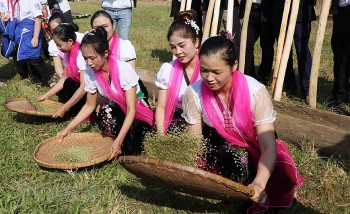 le hoi kin lau khau mau cua dong bao thai trang lai chau