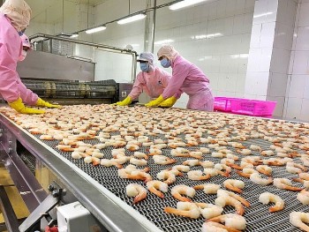 tan dung hiep dinh evfta de tang cuong xuat khau sang thi truong eu