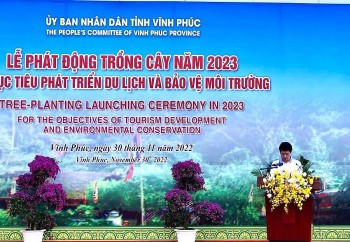 Vĩnh Phúc phấn đấu trồng trên 600.000 cây xanh