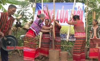 dac sac le hoi mung lua moi cua nguoi stieng