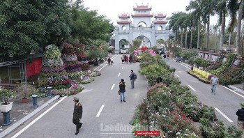 Mê Linh lần đầu tổ chức Festival hoa