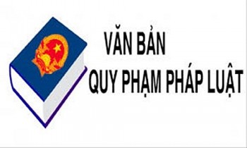 bai bo toan bo 30 van ban quy pham phap luat cua thu tuong chinh phu