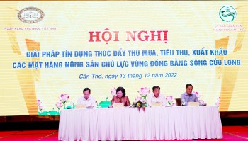 Ưu tiên vốn tín dụng phục vụ thu mua, tiêu thụ, xuất khẩu nông sản Đồng bằng sông Cửu Long