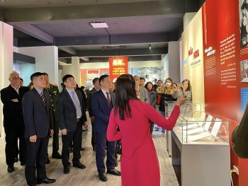 mau va hoa ha noi 12 ngay dem