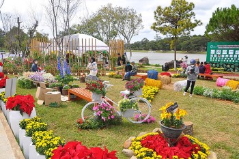 muon hoa khoe sac tai festival hoa da lat 2022