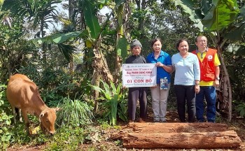 dua tet nhan ai xuan quy mao 2023 den voi nguoi dan toc thieu so tren dia ban tp buon ma thuot