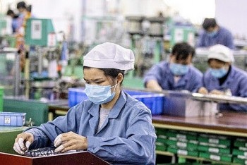 cho dua vung chac cua nguoi lao dong di lam viec o nuoc ngoai