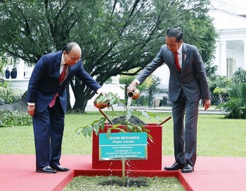 Việt Nam-Indonesia: Thắm tình hữu nghị, hướng tới tương lai